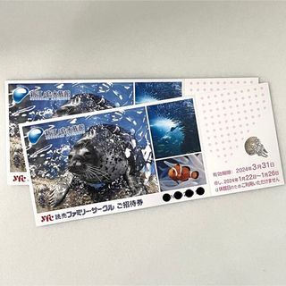 新江ノ島水族館 ご招待券 2枚（2024.3.31まで）(水族館)