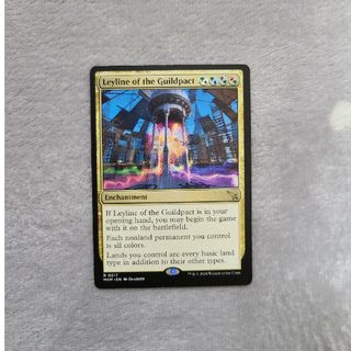 MTG 伝承の収集者、タミヨウ 初版 部分光沢 foil PSA10-