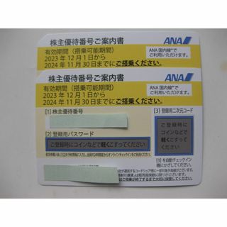 エーエヌエー(ゼンニッポンクウユ)(ANA(全日本空輸))の2枚★ANA株優券★～2024/11/30(航空券)