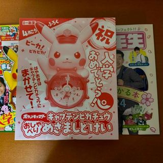 △限定１名様△貴重△河合奈保子△切り抜きクリアブック2冊△の通販 by