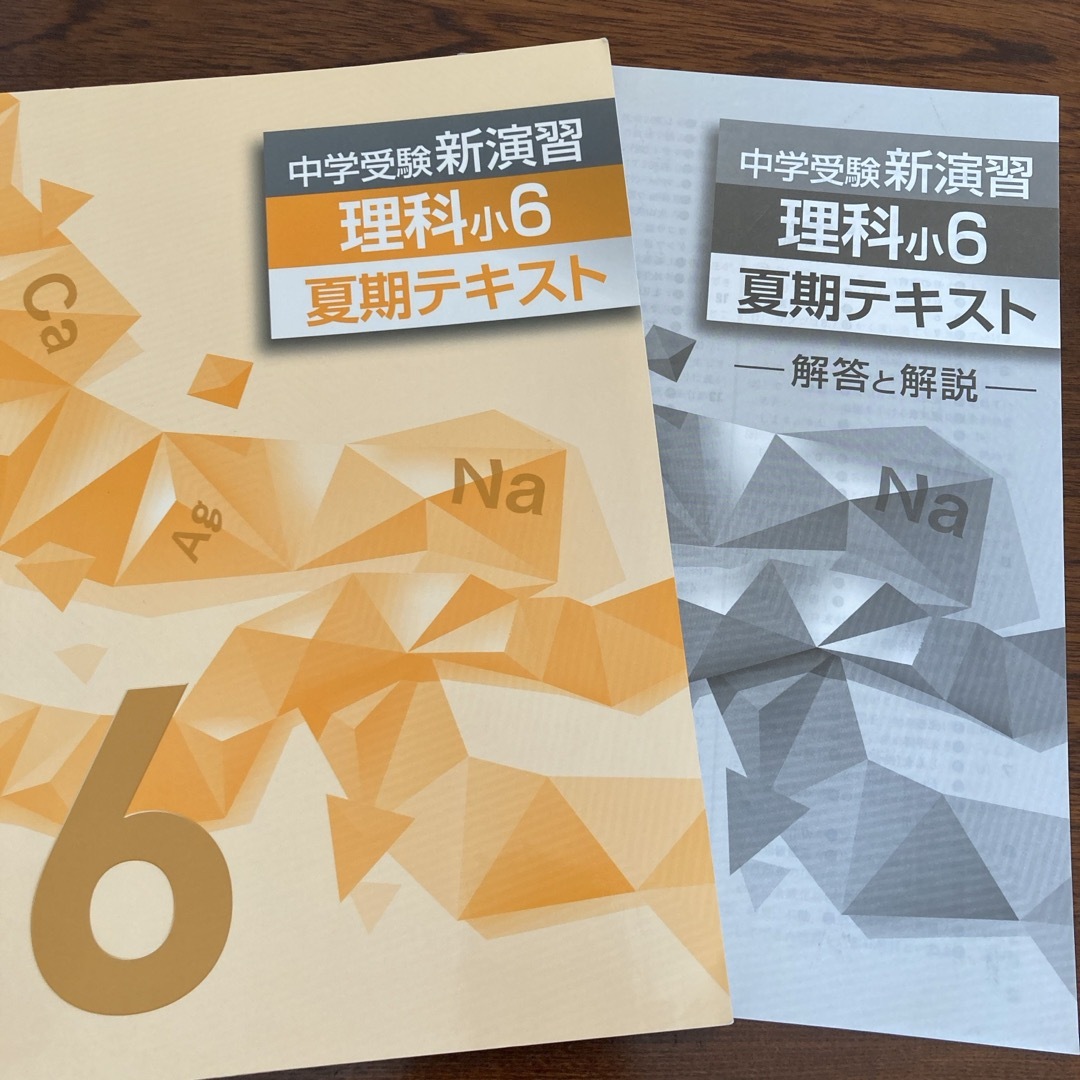 中学受験 新演習 算数／国語／理科／社会小6 夏期テキスト エンタメ/ホビーの本(語学/参考書)の商品写真