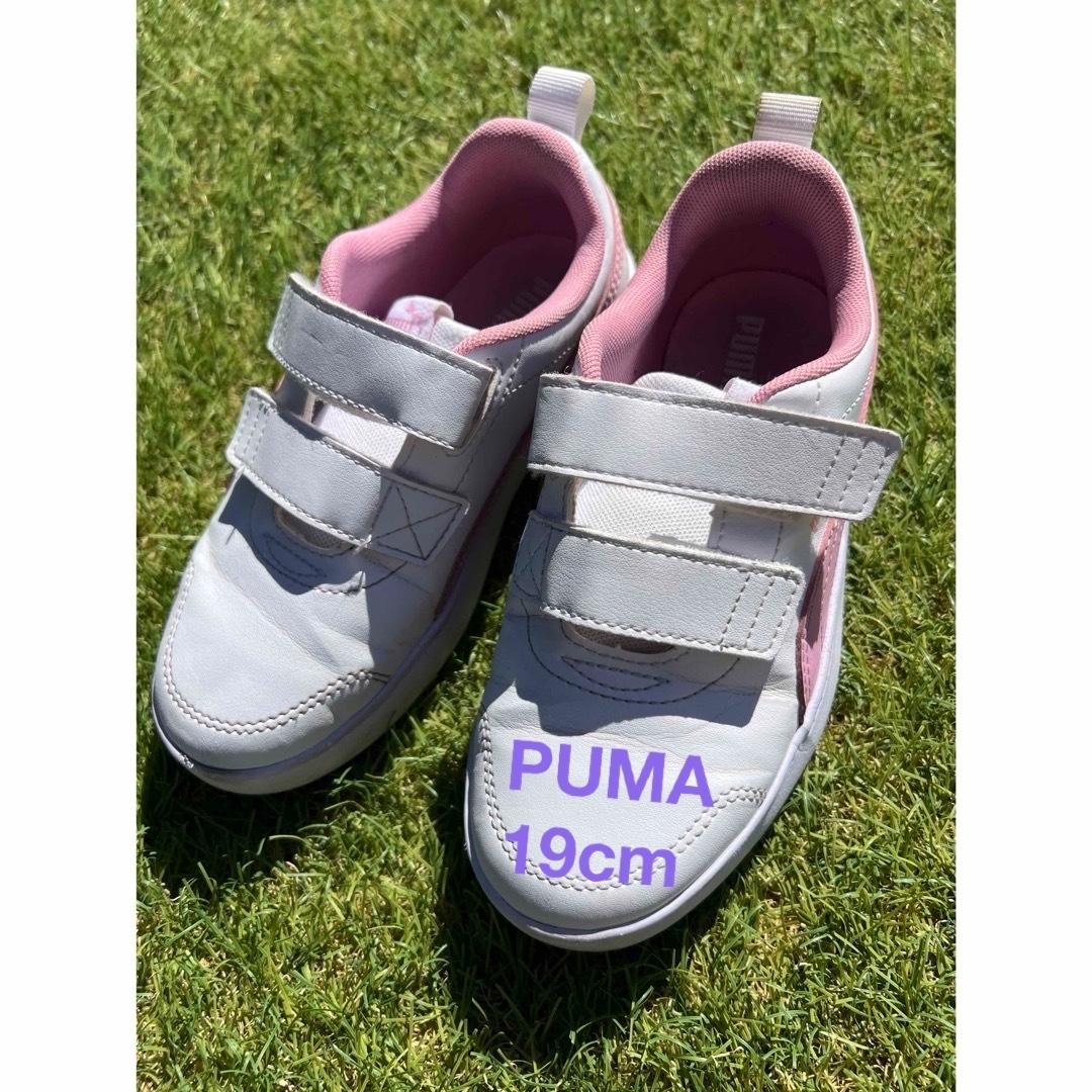 PUMA スニーカー 19センチ キッズ/ベビー/マタニティのキッズ靴/シューズ(15cm~)(スニーカー)の商品写真