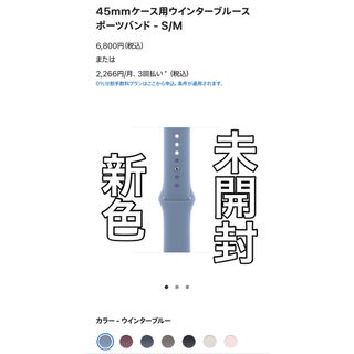 Apple - 新色　Apple Watch 純正スポーツバンド45mm