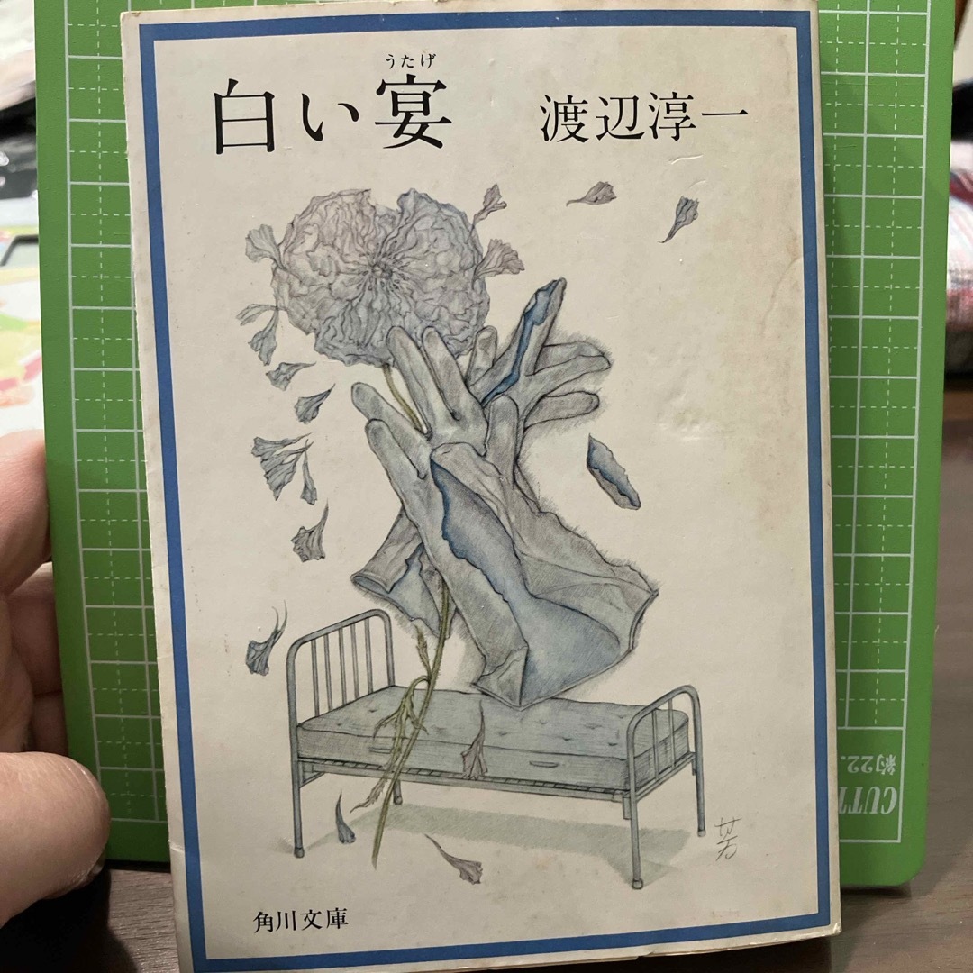 白い宴　渡辺淳一 エンタメ/ホビーの本(文学/小説)の商品写真
