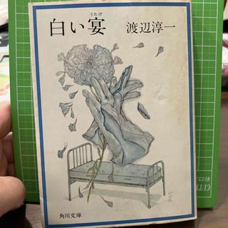 白い宴　渡辺淳一(文学/小説)