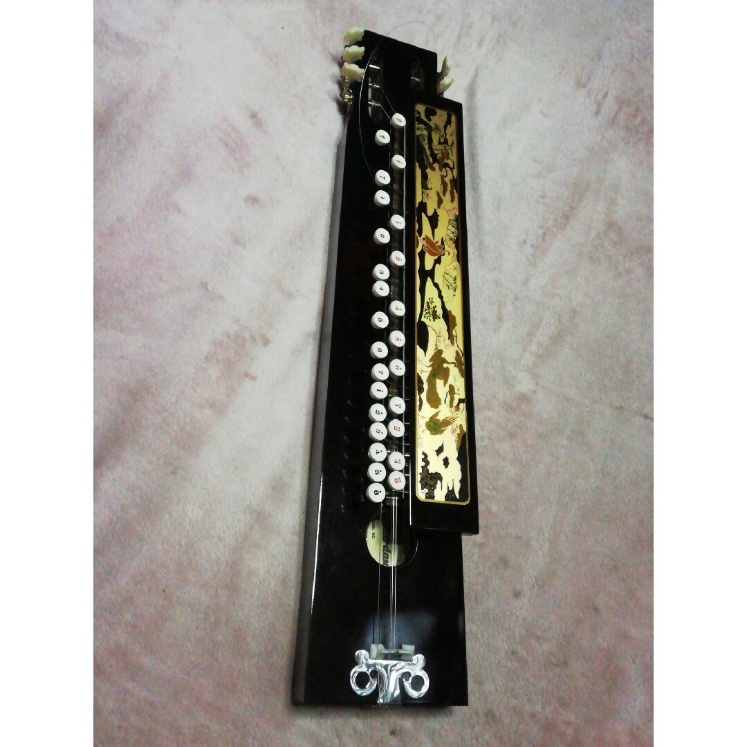 大正琴/ Nardan HARP/ 未使用オススメ品 楽器の和楽器(大正琴)の商品写真