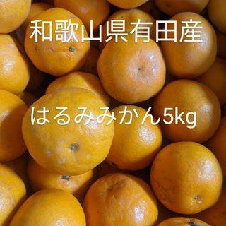 和歌山県有田産　はるみみかん5kg(フルーツ)