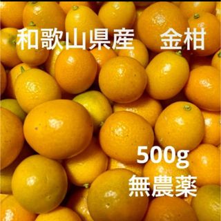 和歌山県産金柑500g(フルーツ)