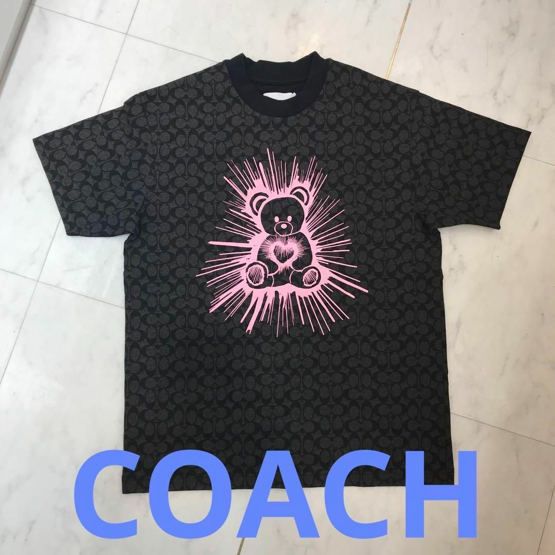 COACH(コーチ)の★超美品★コーチ　レイヴ　 ベア 　Tシャツ・オーガニック コットン　シグネチャ メンズのトップス(Tシャツ/カットソー(半袖/袖なし))の商品写真