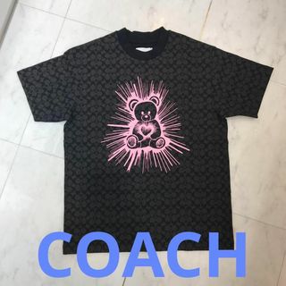 コーチ(COACH)の★超美品★コーチ　レイヴ　 ベア 　Tシャツ・オーガニック コットン　シグネチャ(Tシャツ/カットソー(半袖/袖なし))