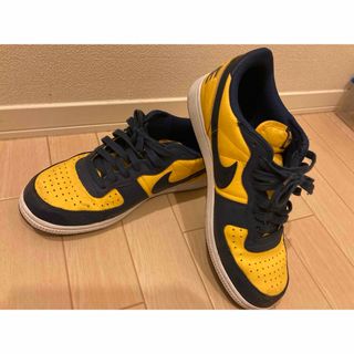 ナイキ(NIKE)のNike Terminator Low 28.5cm(スニーカー)