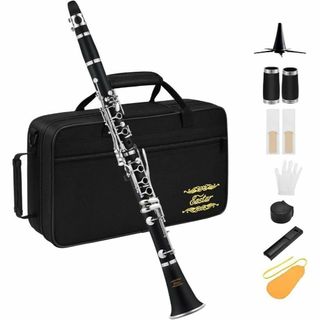 クラリネット ニッケルメッキ B調 Clarinet ABS樹脂管(クラリネット)