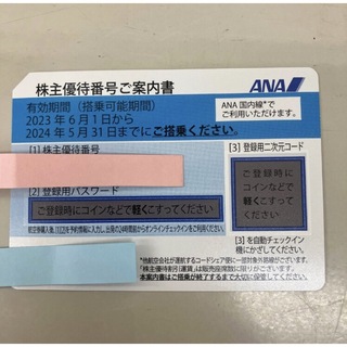ANA株主優待　2024年5月31日まで　全日空
