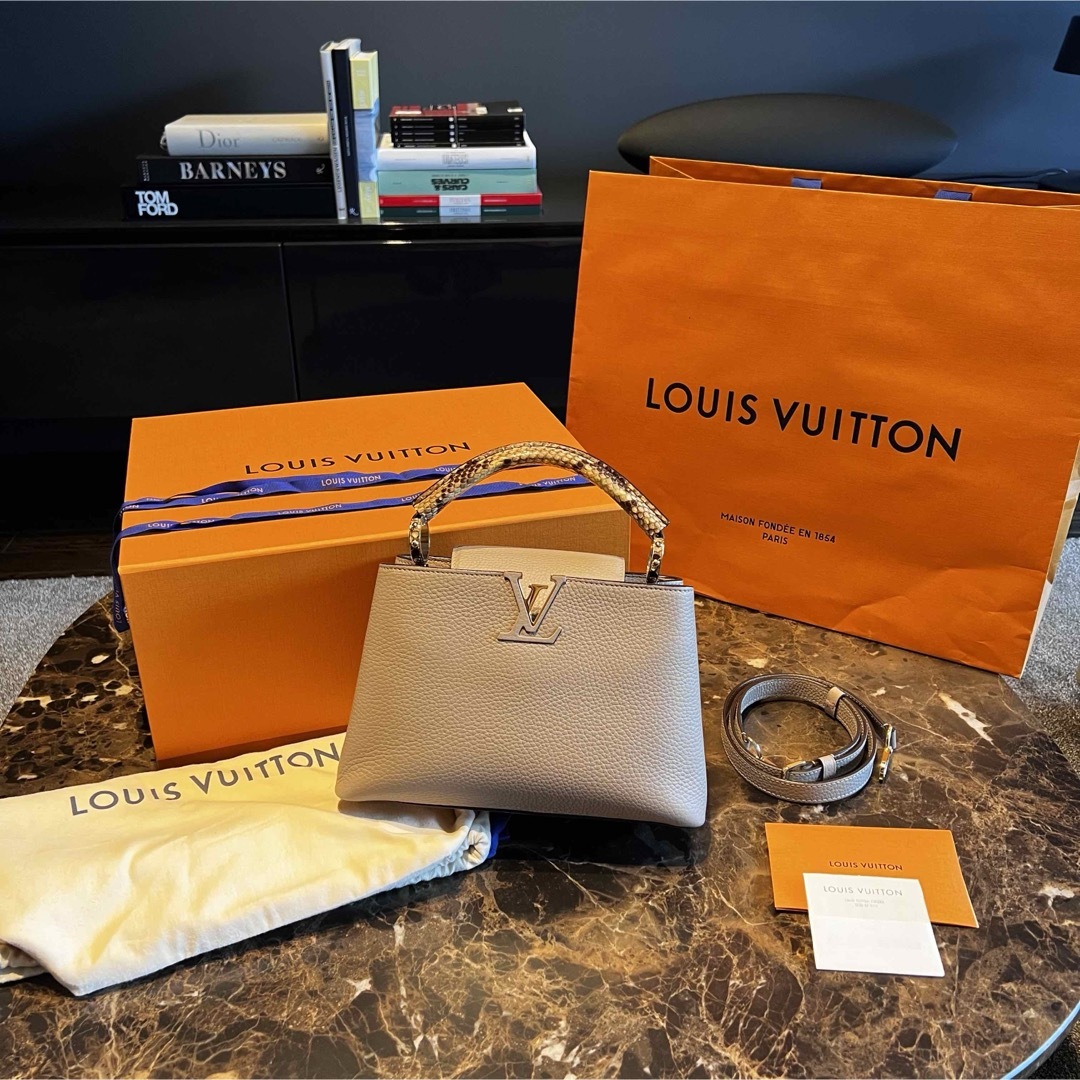 LOUIS VUITTON(ルイヴィトン)のLOUIS VUITTON カプシーヌBB ガレ×パイソン レディースのバッグ(ハンドバッグ)の商品写真