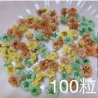 オレンジ×ミントグリーン系 かすみ草ドライフラワー100粒(ドライフラワー)