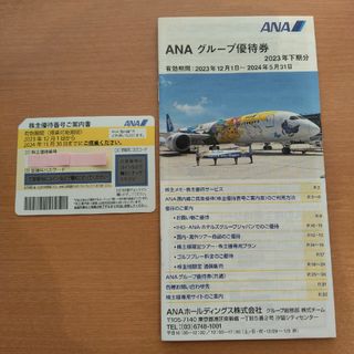 全日空　ANA　株主優待(航空券)