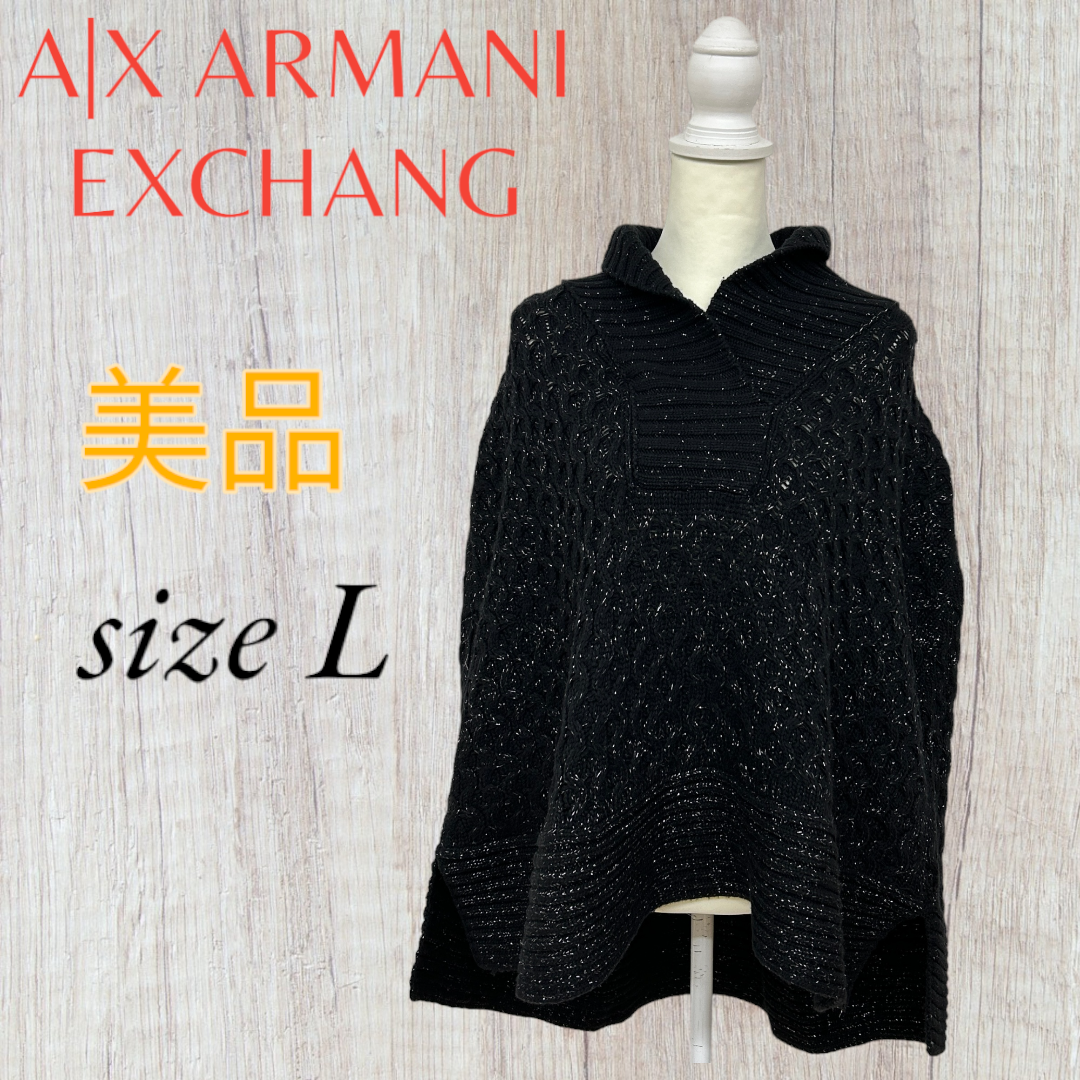 ARMANI EXCHANGE(アルマーニエクスチェンジ)の美品 A|X ARMANI EXCHANGE ニット Vネック 長袖 L 羊毛 レディースのトップス(ニット/セーター)の商品写真