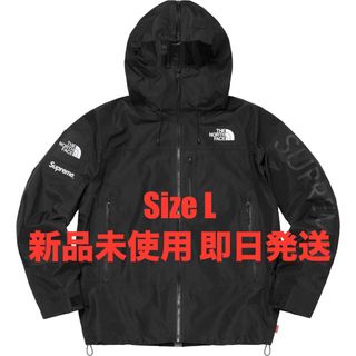 THE NORTH FACE - ノースフェイスマウンテン限定 Kichatna Jacket【L