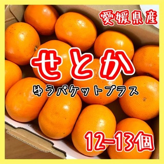 愛媛県産せとか12-13個セット ゆうパケットプラス 柑橘 みかん 果物(フルーツ)