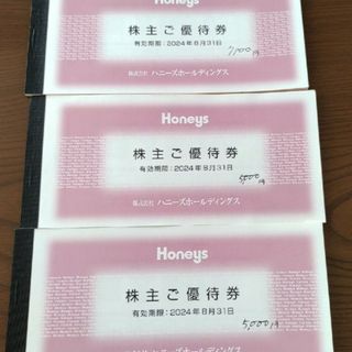 ハニーズ(HONEYS)のハニーズHD 株主優待券 17000円分(ショッピング)