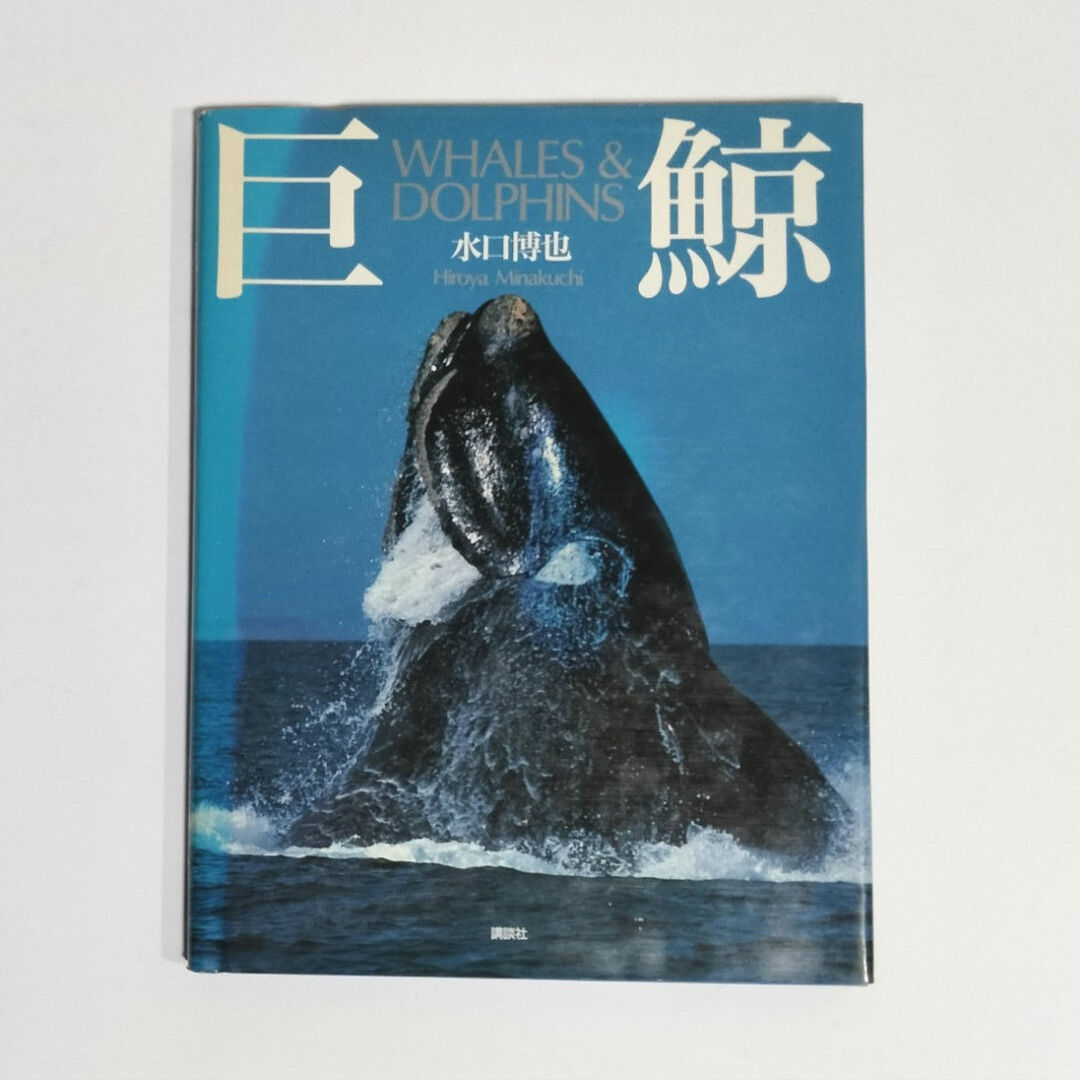 巨鯨 WHALES & DOLPHINS エンタメ/ホビーの本(その他)の商品写真