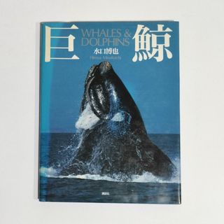 巨鯨 WHALES & DOLPHINS(その他)