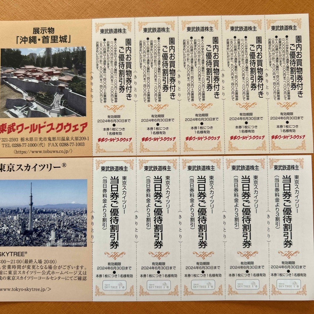 スカイツリー　ワールドスクエア5名様分 チケットの施設利用券(遊園地/テーマパーク)の商品写真