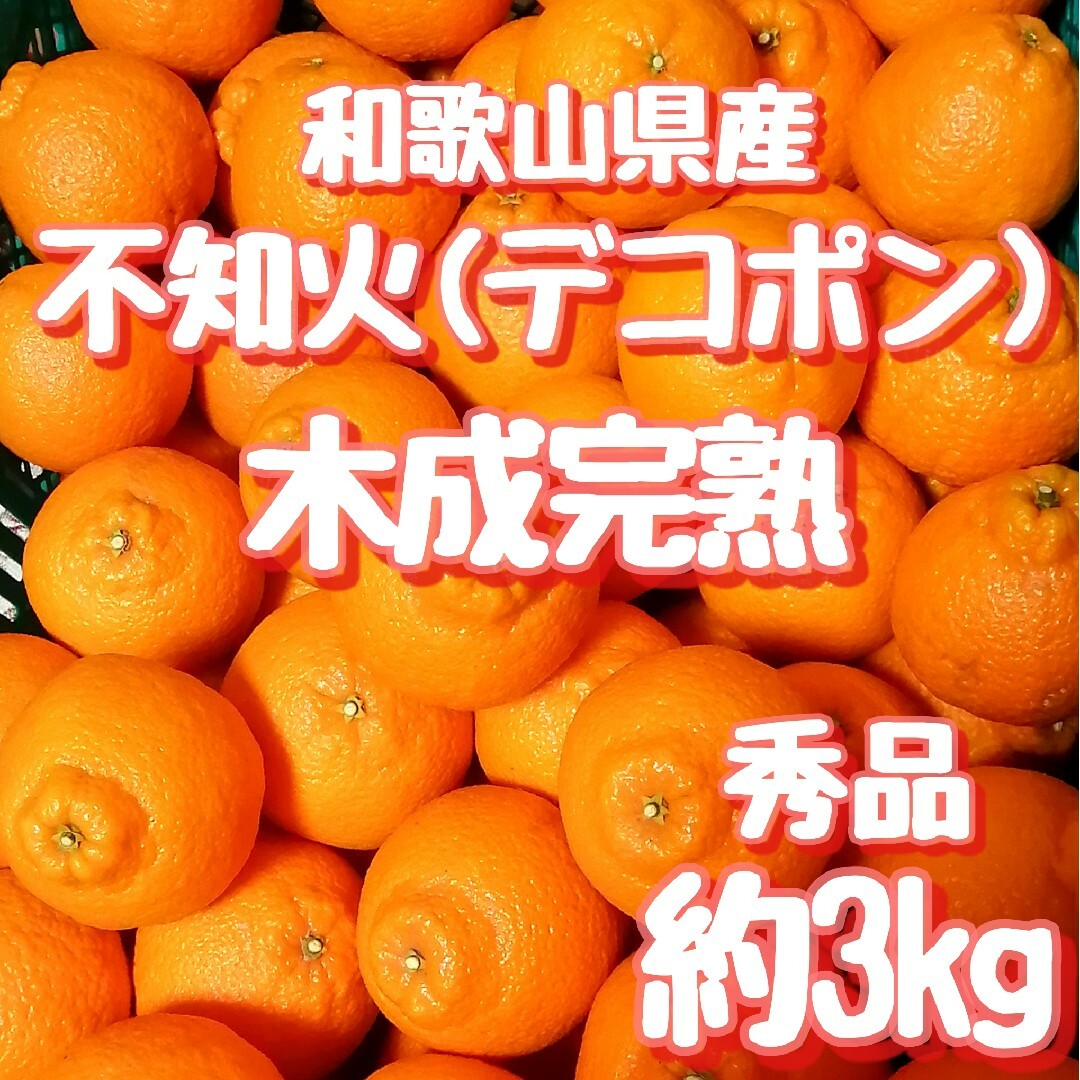 ☆ 和歌山県産　こだわりの木成完熟　不知火　デコポン　秀品　約3kg ☆d 食品/飲料/酒の食品(フルーツ)の商品写真