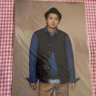 ジャニーズ(Johnny's)の大野智　クリアファイル(アイドルグッズ)