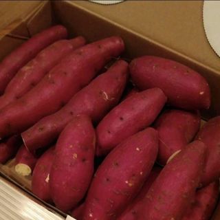 希少☆数量限定品☆富山県産ベニハルカさつまいも１.５キロ〜２キロ☆サツマイモ☆(野菜)