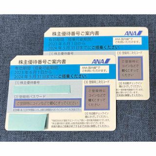 エーエヌエー(ゼンニッポンクウユ)(ANA(全日本空輸))のANA 株主優待券　(その他)