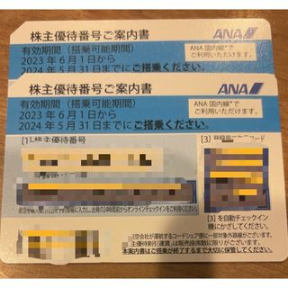 エーエヌエー(ゼンニッポンクウユ)(ANA(全日本空輸))のANA株主優待　搭乗券2枚(航空券)