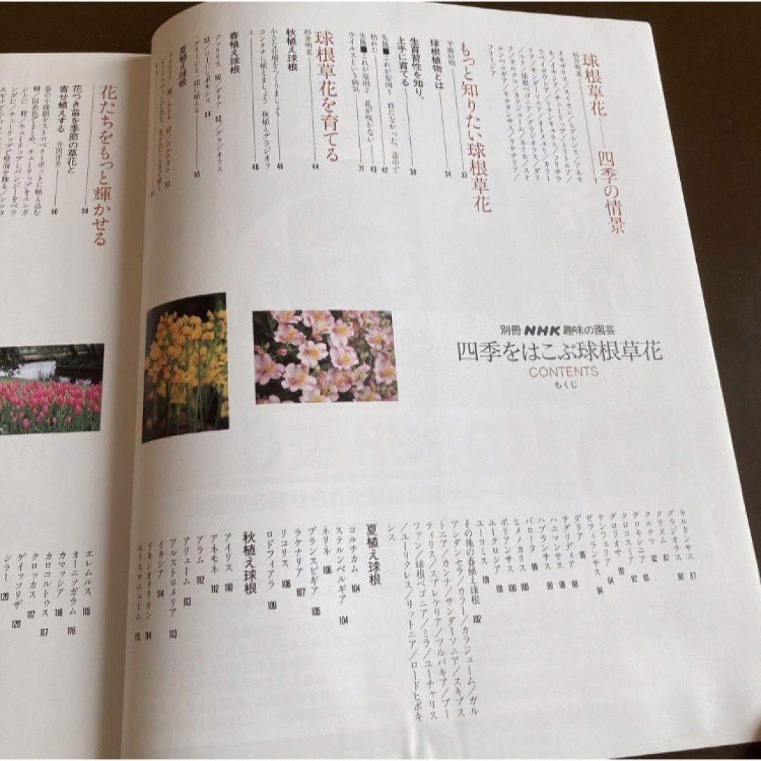 NHK趣味の園芸　『四季をはこぶ　球根草花』 エンタメ/ホビーの本(趣味/スポーツ/実用)の商品写真