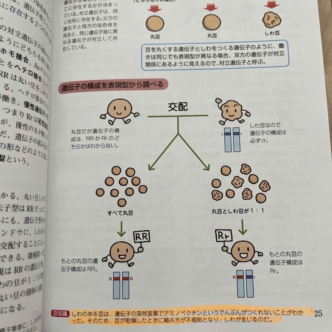 カラー版徹底図解　遺伝のしくみ エンタメ/ホビーの本(人文/社会)の商品写真