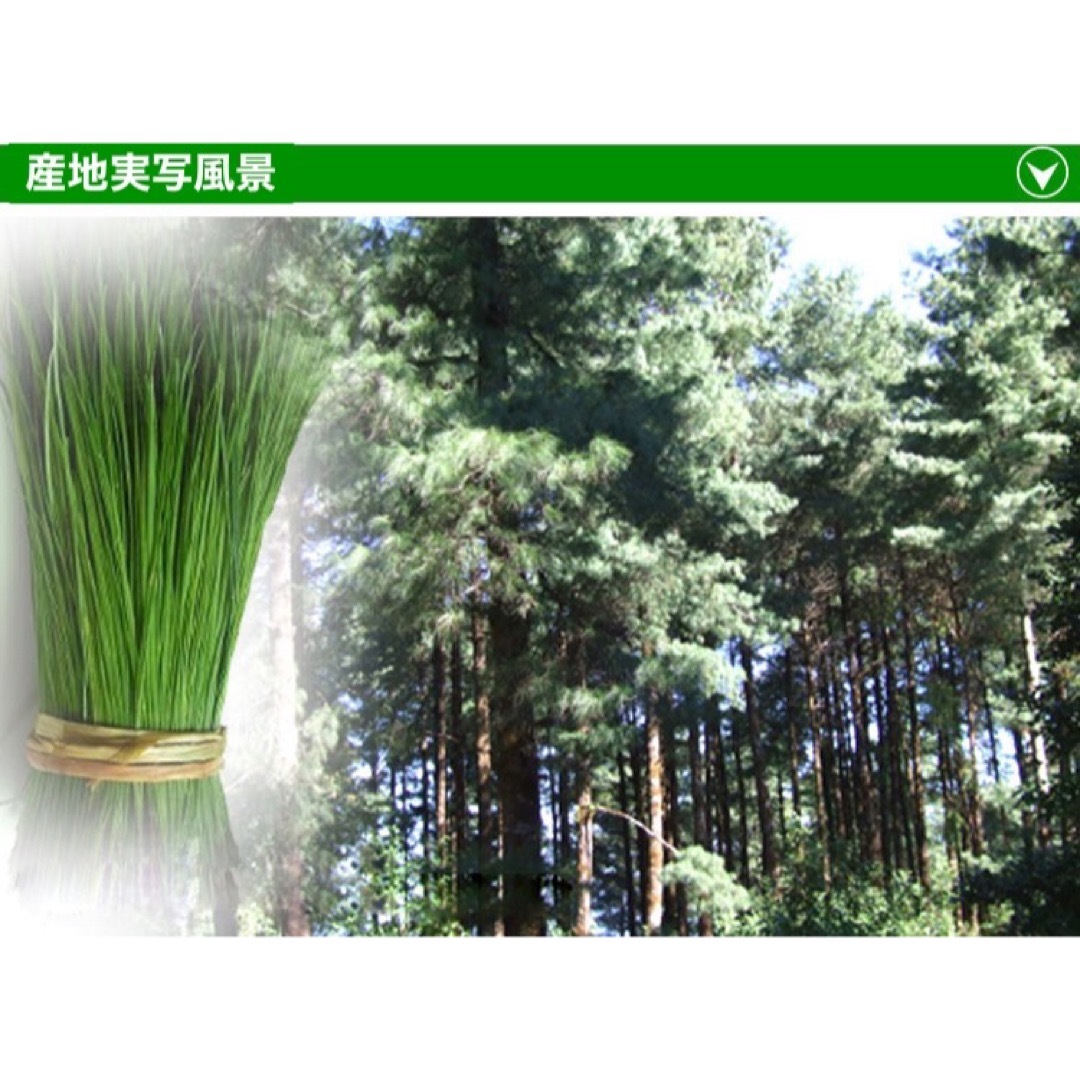 新入荷！破壁松花粉 赤松花粉 松の花粉 松花粉 100g 松の葉茶 松葉ジュース 食品/飲料/酒の健康食品(その他)の商品写真