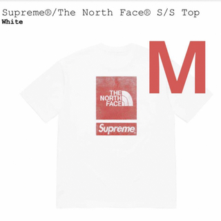 シュプリーム(Supreme)のSupreme The North Face S/S Top M(Tシャツ/カットソー(半袖/袖なし))