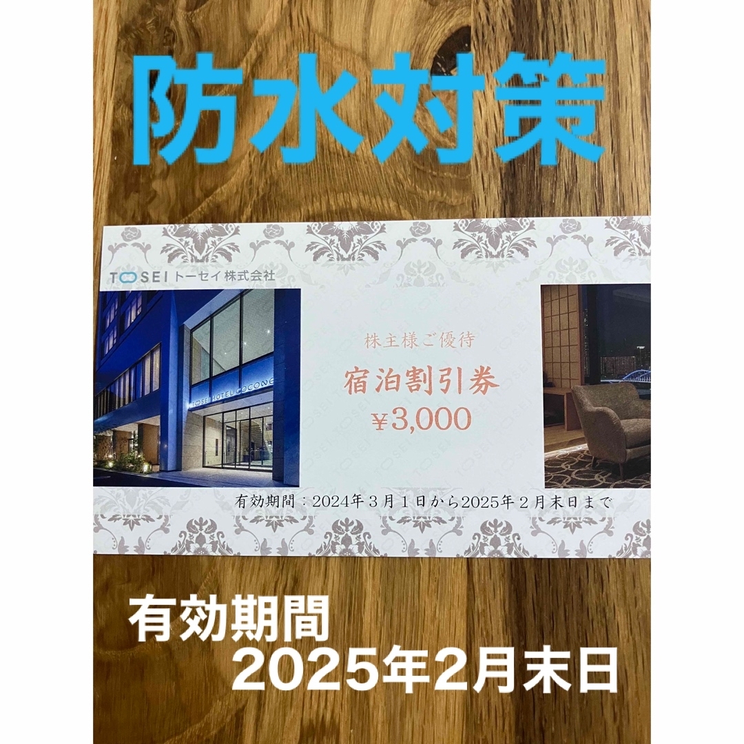 トーセイ　株主優待　3000円宿泊割引券 チケットの優待券/割引券(宿泊券)の商品写真