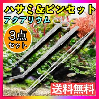 23cm＊＊青石☆庭石☆亀＊水槽の通販 by any☆～ shop｜ラクマ