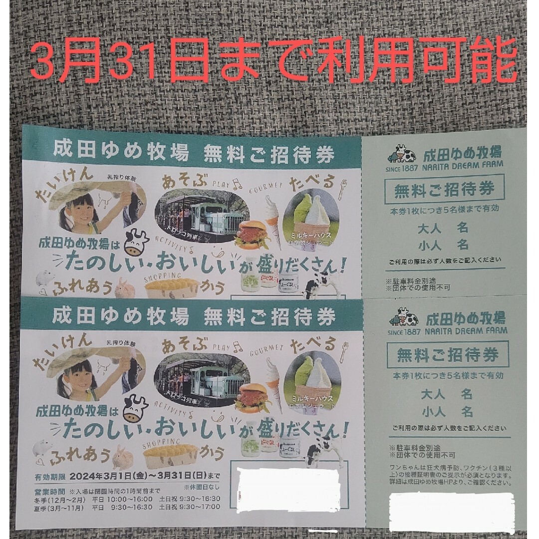 成田ゆめ牧場 無料ご招待券 2枚 チケットの施設利用券(遊園地/テーマパーク)の商品写真