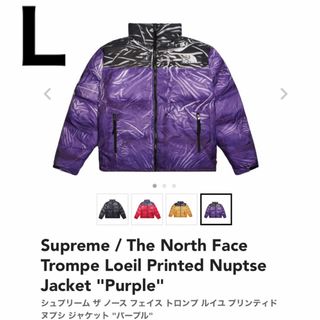 シュプリーム(Supreme)のThe North Face Trompe Loeil Printed (ダウンジャケット)