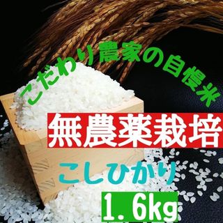 こだわり農家の自慢米  白米1.6㎏(無農薬栽培)　　　　　令和5年産(米/穀物)