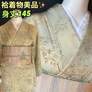 袷着物美品！淡い若芽色にグレーのぼかし　春の初々しい若葉模様　身丈145(着物)