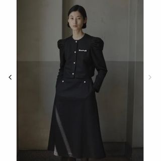 ヨーコチャン(YOKO CHAN)の最終価格hue DAY to evening  MESH KNIT SKIRT(ロングスカート)