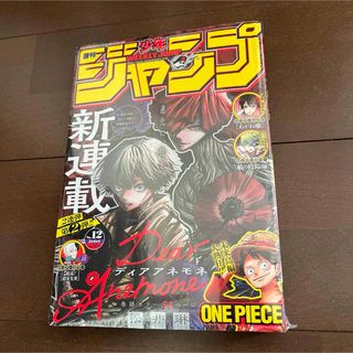 未読】僕のヒーローアカデミア ヒロアカ 37巻 最新刊 単行本の通販 by