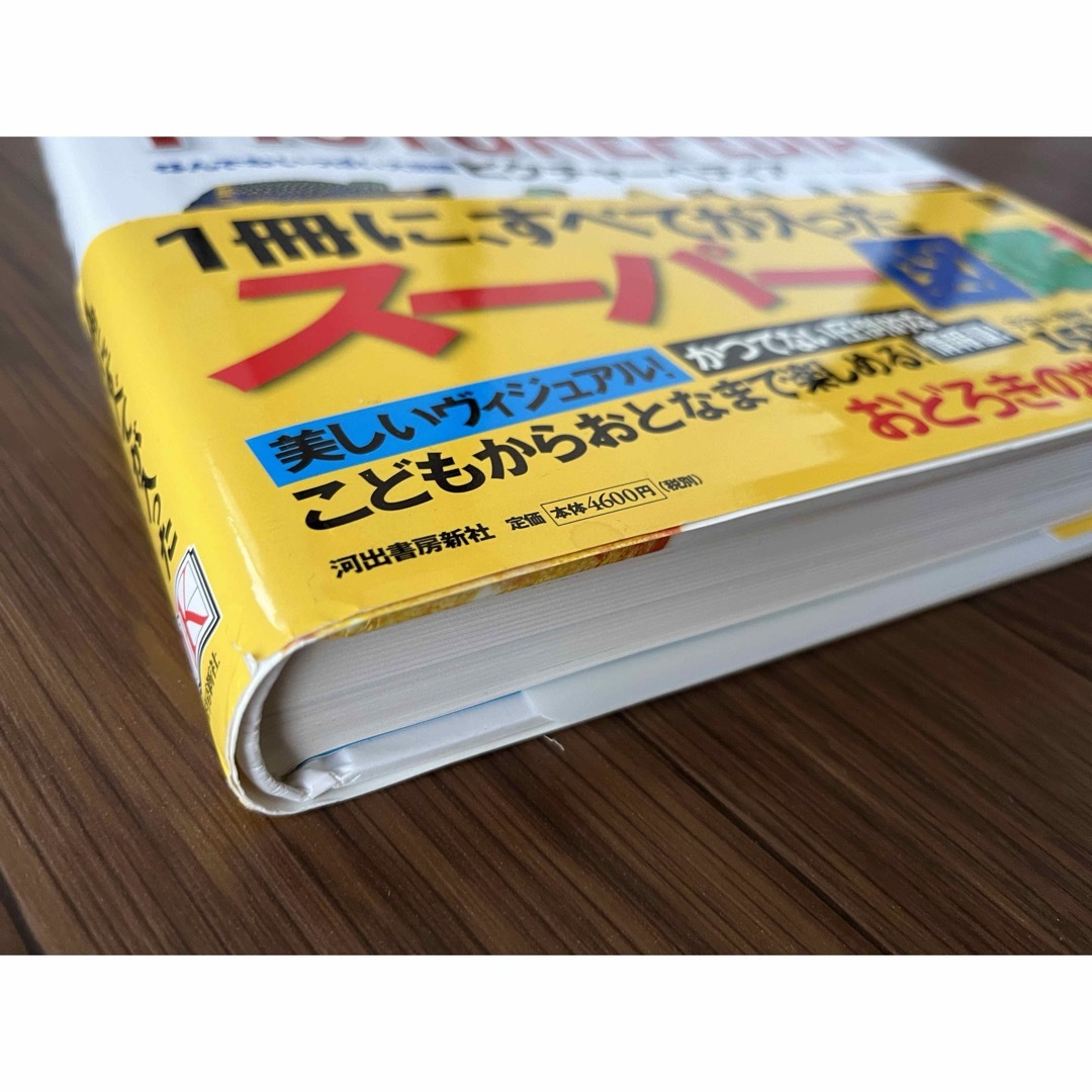 なんでもいっぱい大図鑑ピクチャーペディア エンタメ/ホビーの本(絵本/児童書)の商品写真