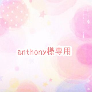 anthony様専用(各種パーツ)