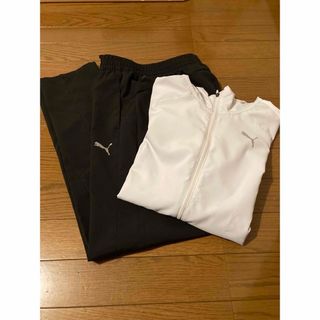 PUMA レディース上下セット