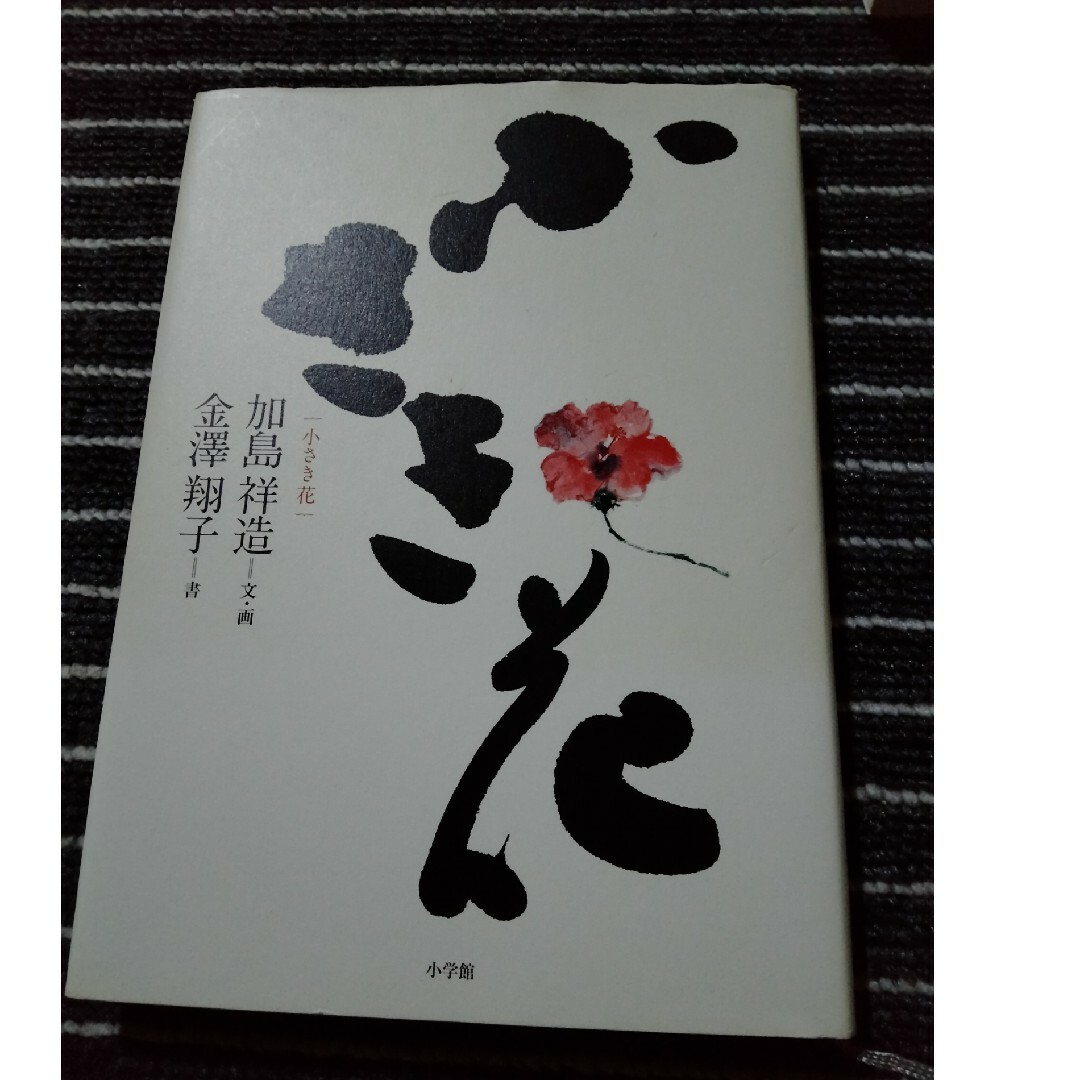 小学館(ショウガクカン)の小さき花　金澤翔子　加島祥造 エンタメ/ホビーの本(文学/小説)の商品写真