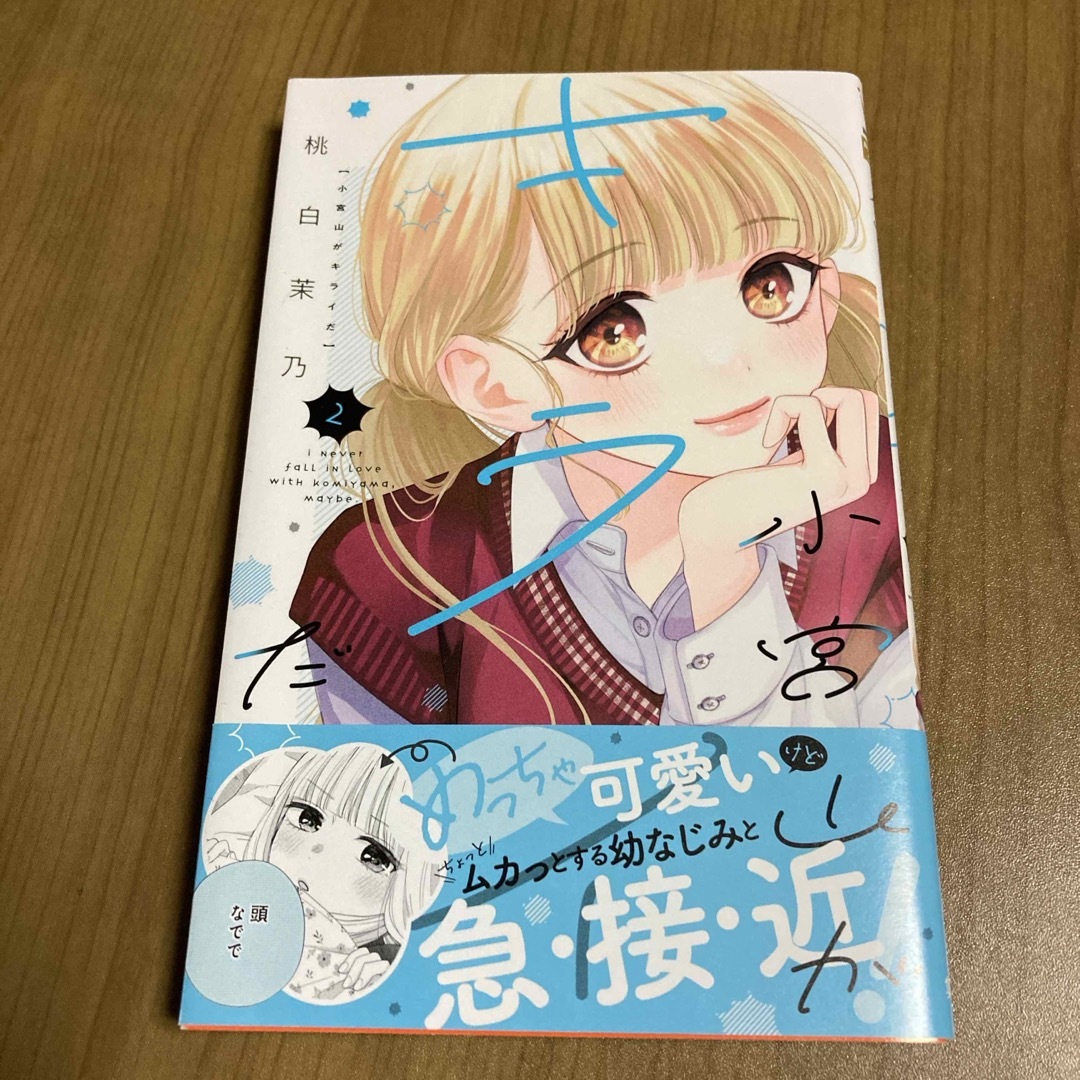 小宮山がキライだ エンタメ/ホビーの漫画(少女漫画)の商品写真