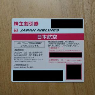 日本航空 JAL 株主優待券 1枚　期限2024年5月31日(航空券)